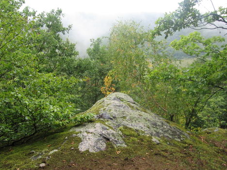 táltos kilátó1