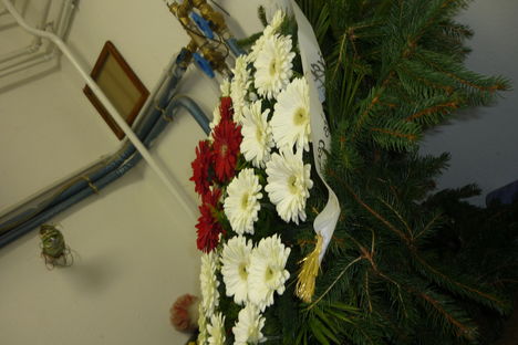 Műveim 005