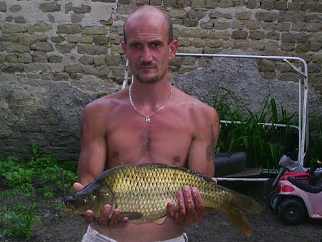 szivem