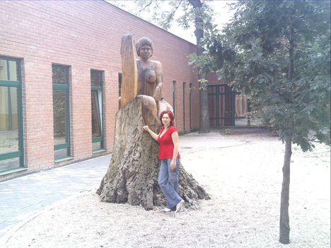 2009 Gyula