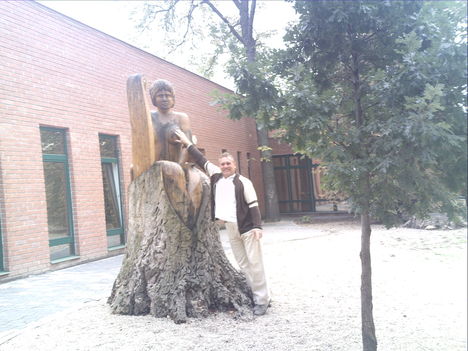 2009 Gyula