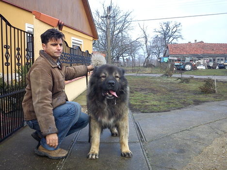 Mása & Misa 9