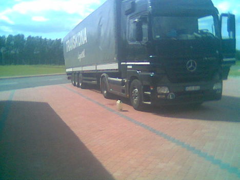 Transkona mercedes(antracit metáll)