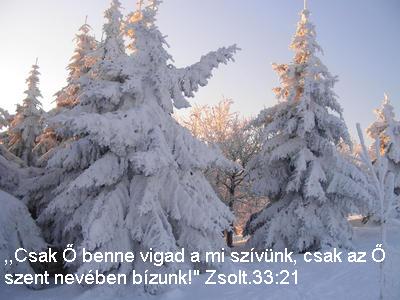 39611_637336944_big
