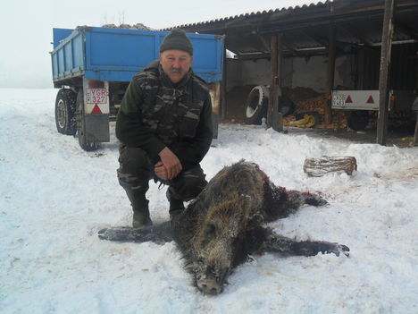 A BOLDOG VADÁSZ PUSKÁS JÓZSEF LŐTTE 2012 02 07 MEZŐGYÁNBAN