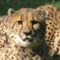 images--15-