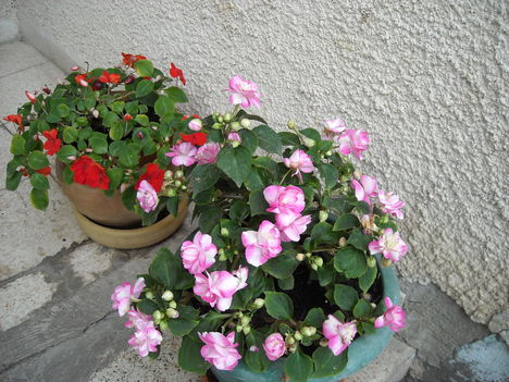morodi eskuvo  viragok 065