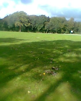 user_14199241_1316444526950[1]