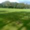 user_14199241_1316444526950[1]