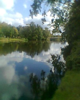 user_14199241_1316444529260[1]