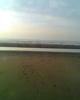 user_14199241_1316961527024[1]