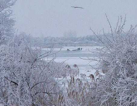 A Tisza és Környéke