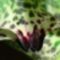 CIMG0950-