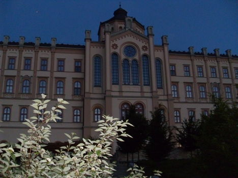 2011, nyár 014