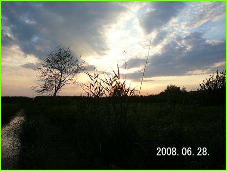 P1010372