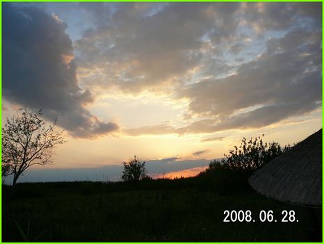 P1010381