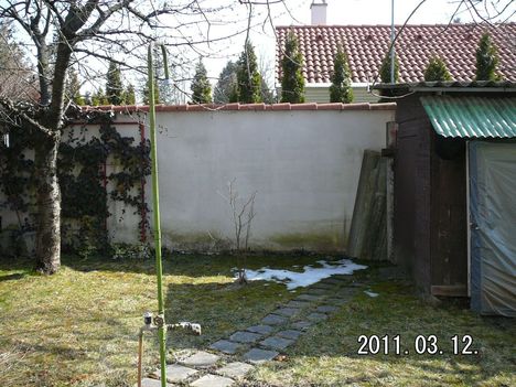 P1040223