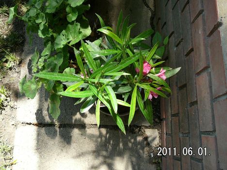 P1040575