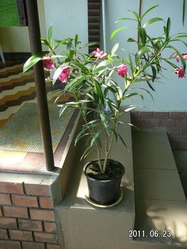 P1040601