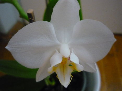 2012. FEBRUÁR, 14