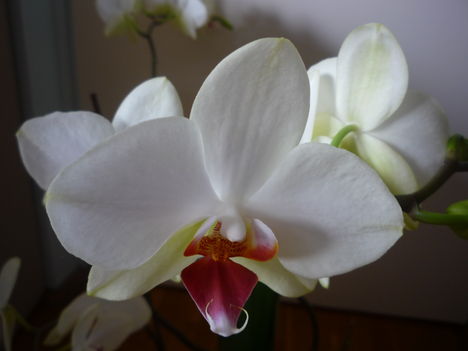 2012. FEBRUÁR, 14