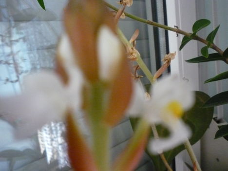 2012. FEBRUÁR, 14