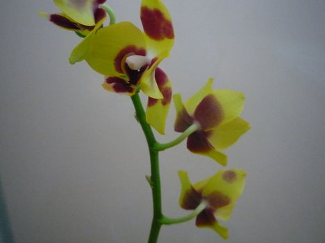 2012. FEBRUÁR, 14