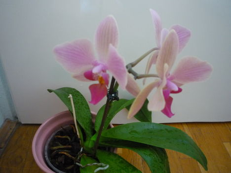 2012. FEBRUÁR, 14