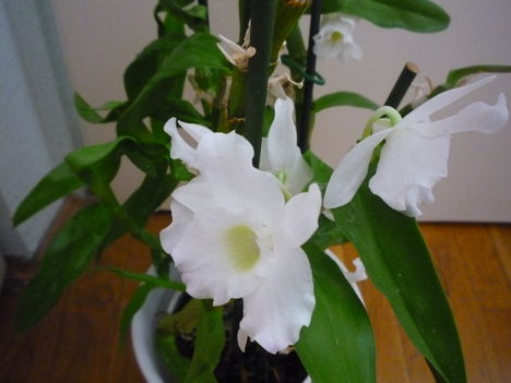 2012. FEBRUÁR, 14