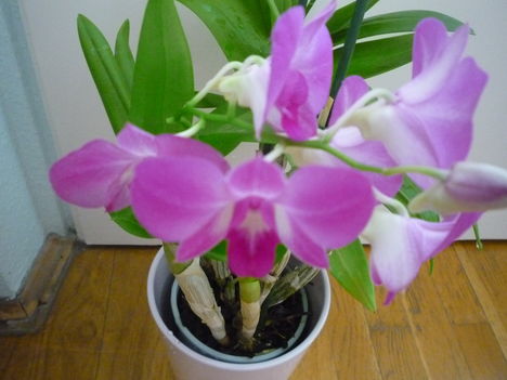 2012. FEBRUÁR, 14