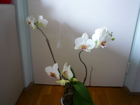 2012. FEBRUÁR, 14