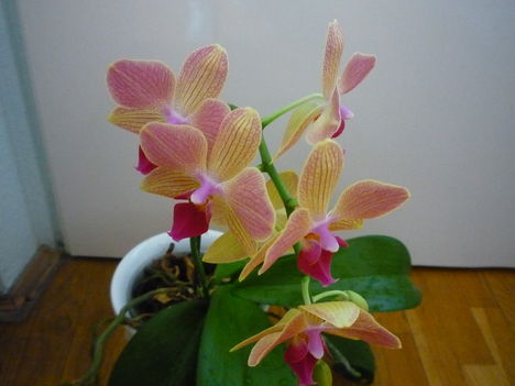 2012. FEBRUÁR, 14