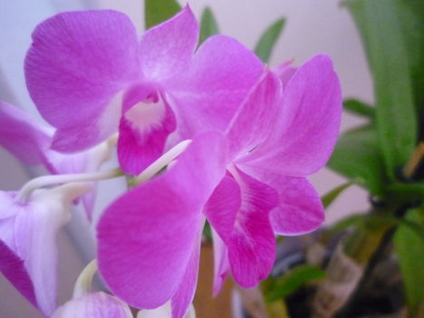 2012. FEBRUÁR, 14