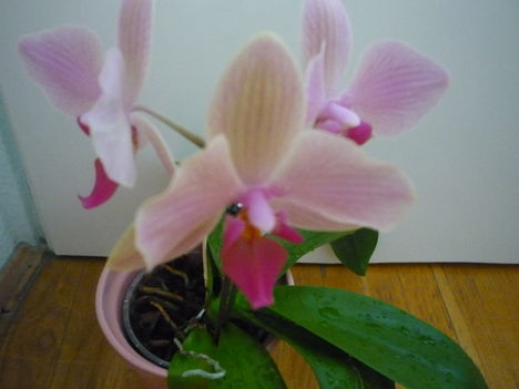 2012. FEBRUÁR, 14