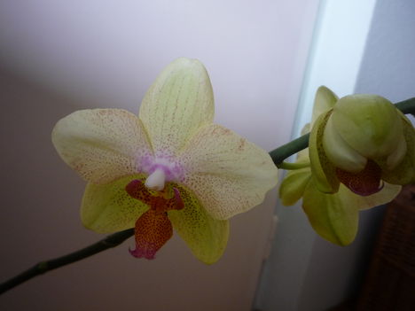 2012. FEBRUÁR, 14