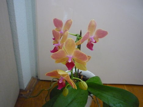 2012. FEBRUÁR, 14