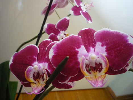 2012. FEBRUÁR, 14