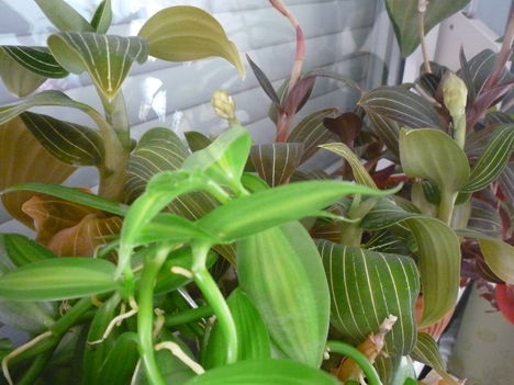 2012. FEBRUÁR, 14