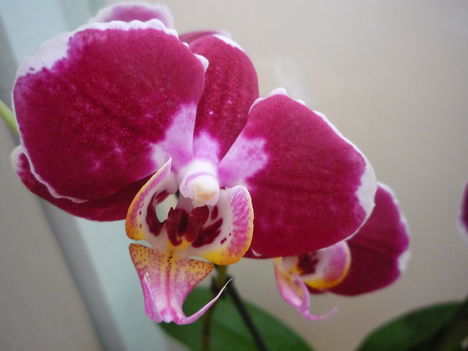 2012. FEBRUÁR, 14