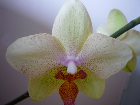 2012. FEBRUÁR, 14