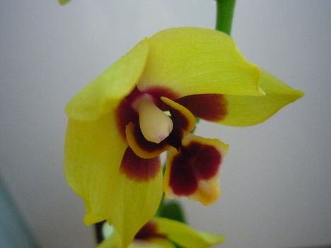 2012. FEBRUÁR, 14