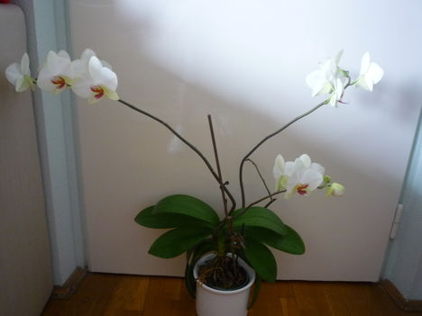 2012. FEBRUÁR, 14