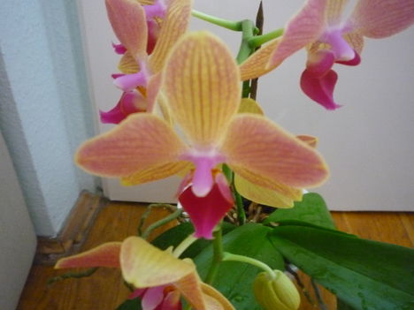 2012. FEBRUÁR, 14