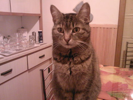 Cilike