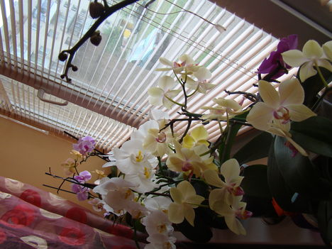 DSC00005