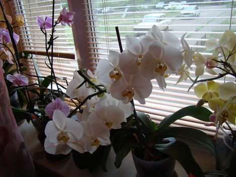 DSC00006