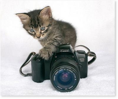 funny-photographers26