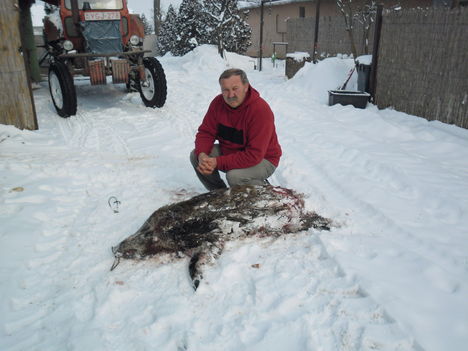 PUSKÁS JÓZSEF LÖTTE 2012 02 13 MEZŐGYÁNBAN
