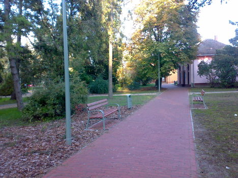 20101008041