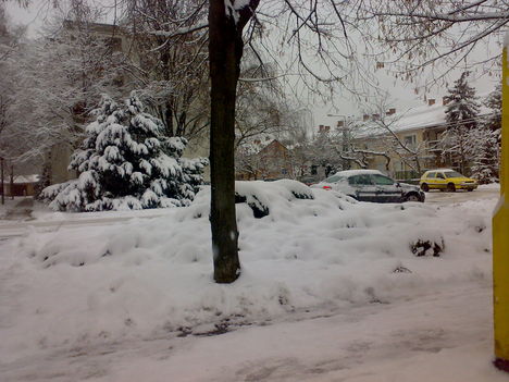 20101227086